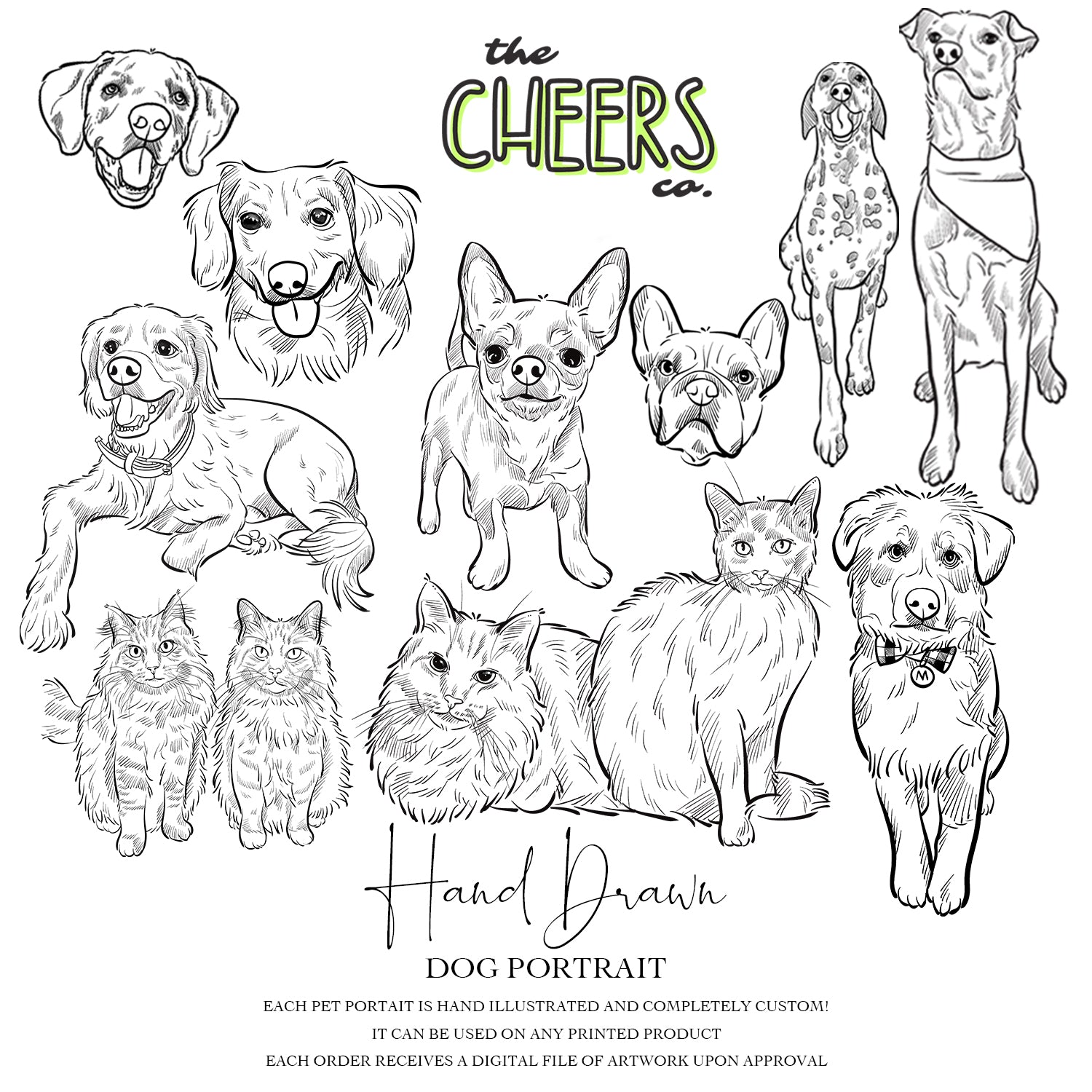 Custom Hand-Drawn for Pet